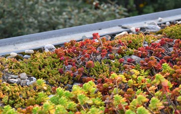the cost of Cross Heath green roof installation