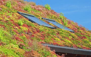 Cross Heath living roof systems