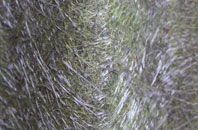 Cross Heath fibreglass roof work